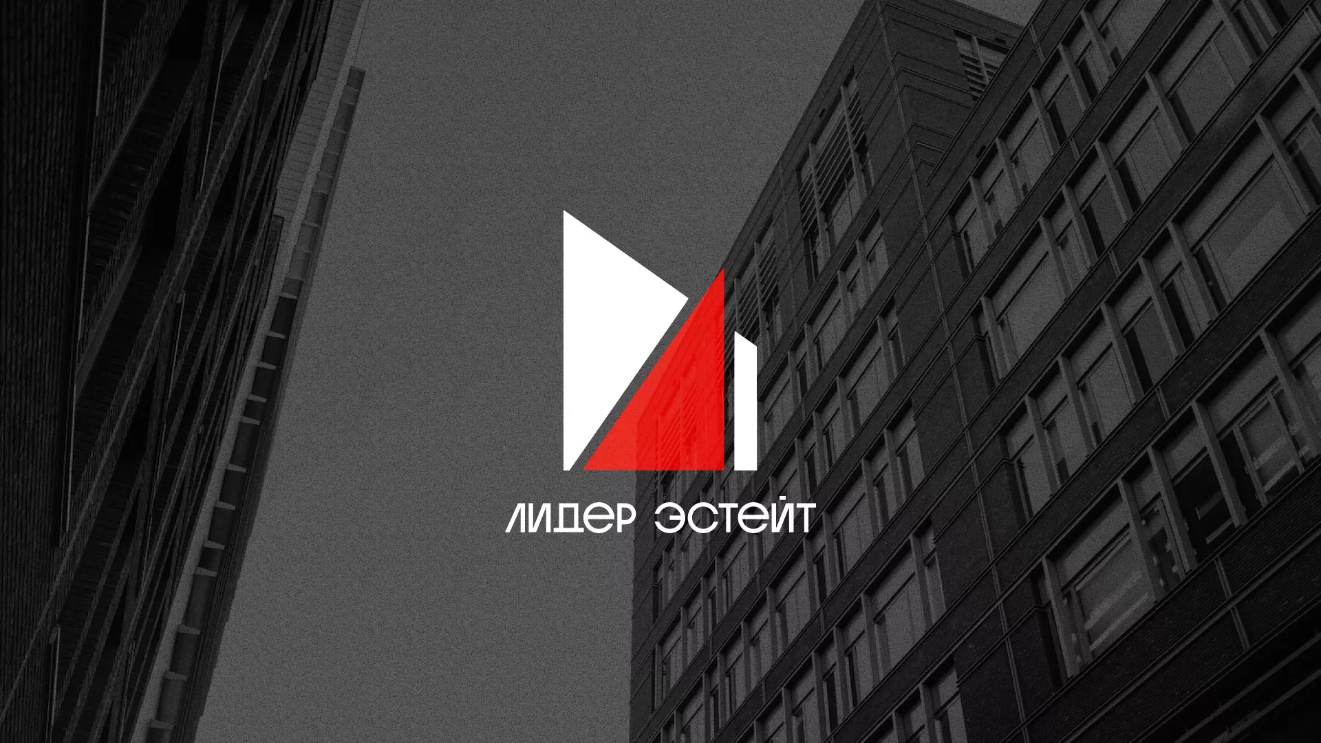 Сделали логотип для агентства недвижимости «Лидер Эстейт» в Щиграх